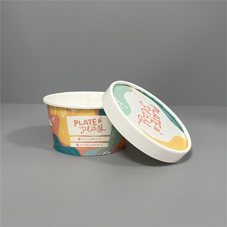 custom printing ice cream bowl with lid